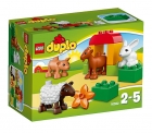 Lego Duplo 10522 - Farm Animals