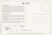 Airline issue postcard - TAME Ecuador - Galapagos Airline issue postcard - TAME Ecuador - Galapagos Islands advertisement