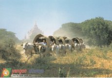 Airline issue postcard - Yangon Airways - Going home, Bagan