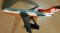 Aviogenex Boeing 727-200 1/200 scale desk model Aviogenex Boeing 727-200 1/200 scale aircraft airplane desk model
